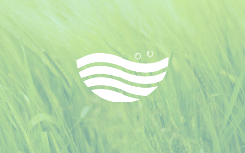palouse carpet cleaning brand logo design